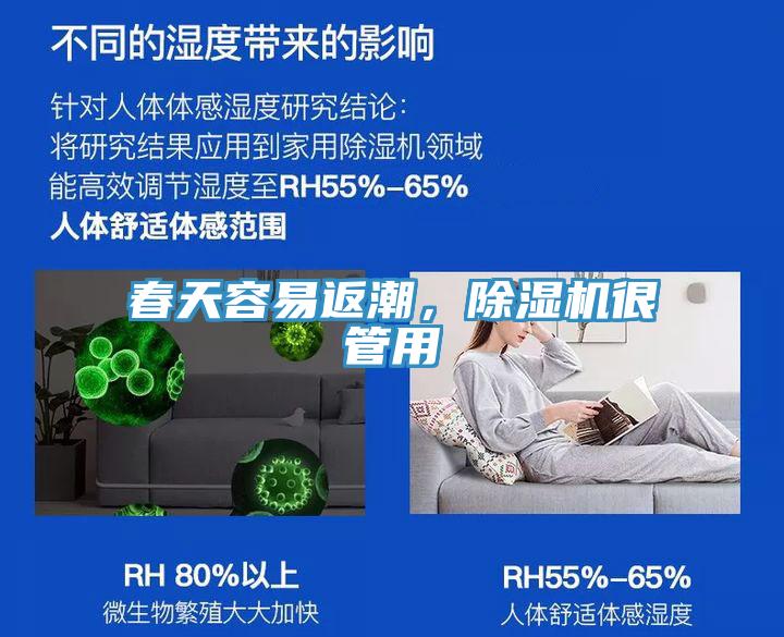春天容易返潮，小黄片直播视频很管用