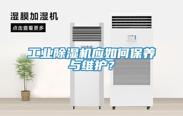 工业小黄片直播视频应如何保养与维护？