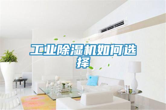 工业小黄片直播视频如何选择