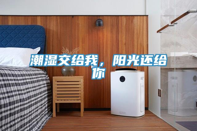 潮湿交给我，阳光还给你