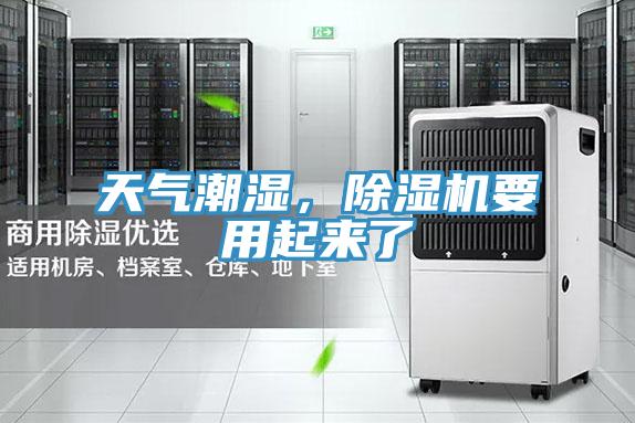 天气潮湿，小黄片直播视频要用起来了