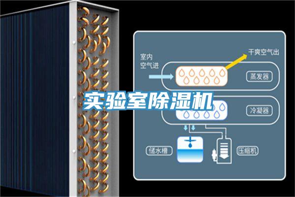 实验室小黄片直播视频