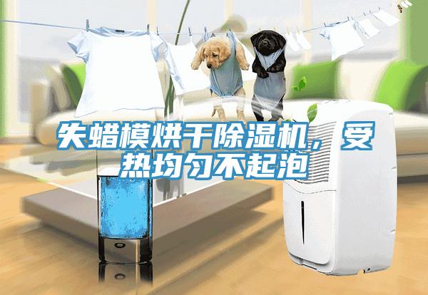 失蜡模烘干小黄片直播视频，受热均匀不起泡