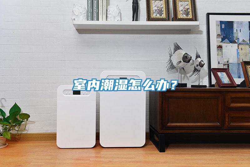 室内潮湿怎么办？