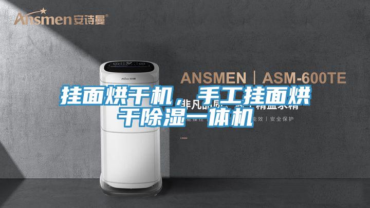 挂面烘干机，手工挂面烘干除湿一体机