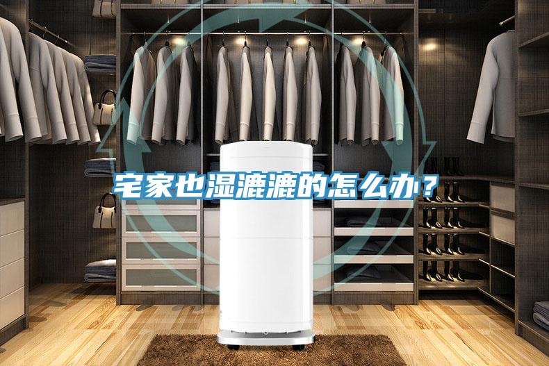 宅家也湿漉漉的怎么办？