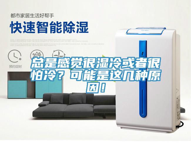 总是感觉很湿冷或者很怕冷？可能是这几种原因！