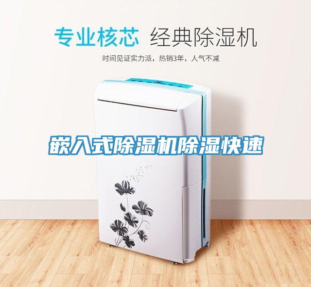 嵌入式小黄片直播视频除湿快速