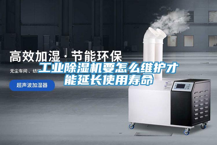 工业小黄片直播视频要怎么维护才能延长使用寿命