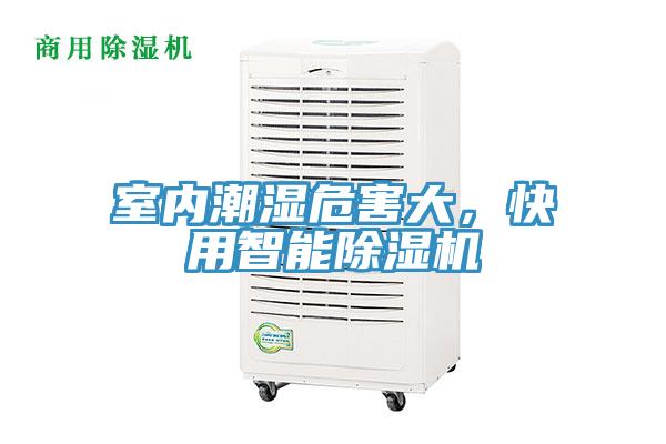 室内潮湿危害大，快用智能小黄片直播视频