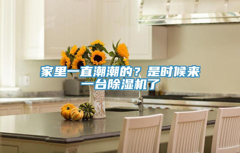 家里一直潮潮的？是时候来一台小黄片直播视频了