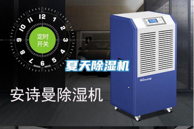 夏天小黄片直播视频