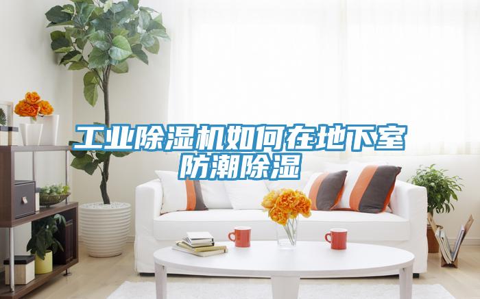 工业小黄片直播视频如何在地下室防潮除湿
