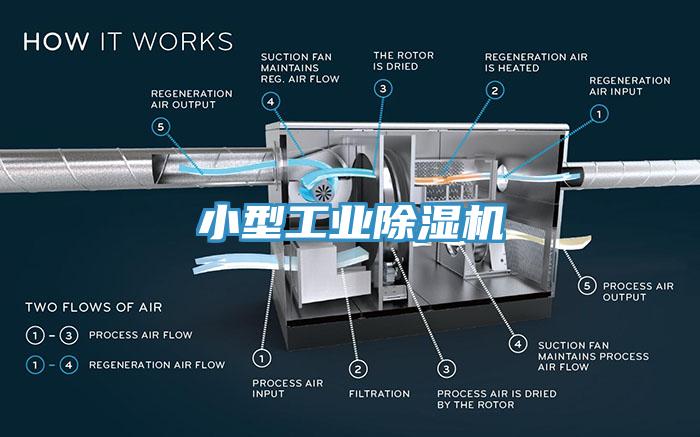 小型工业小黄片直播视频