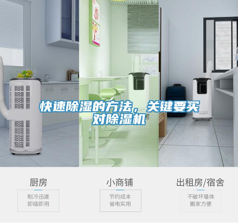 快速除湿的方法，关键要买对小黄片直播视频