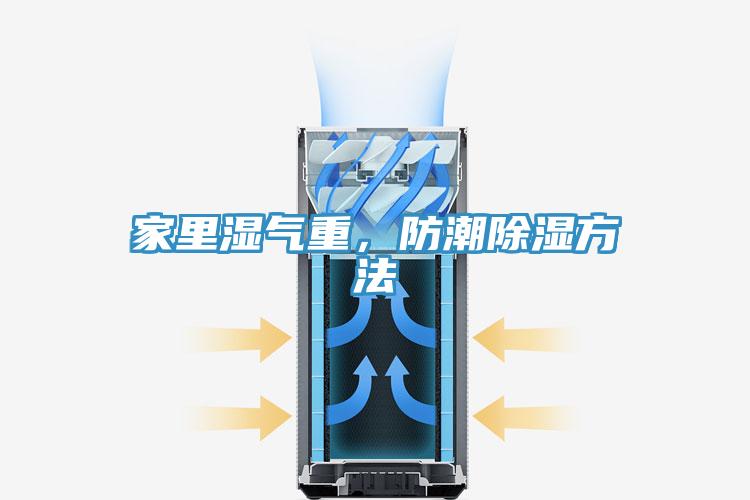 家里湿气重，防潮除湿方法