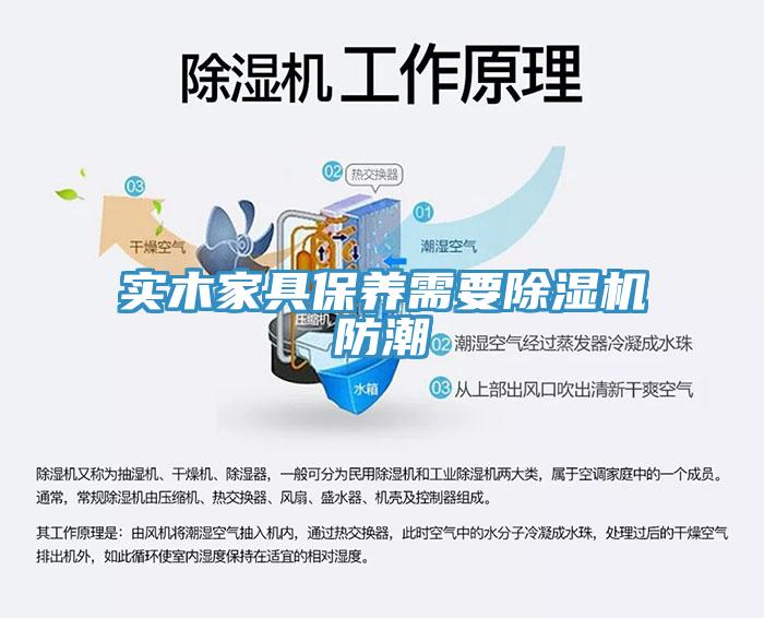 实木家具保养需要小黄片直播视频防潮