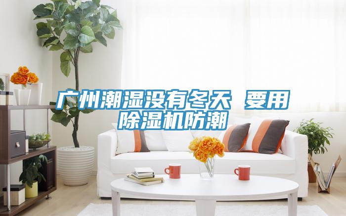 广州潮湿没有冬天 要用小黄片直播视频防潮