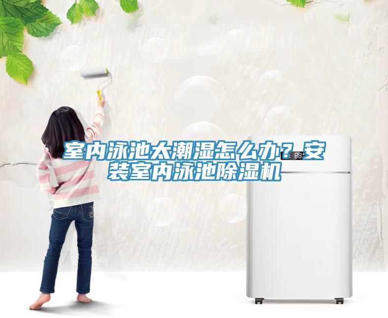 室内泳池太潮湿怎么办？安装室内泳池小黄片直播视频