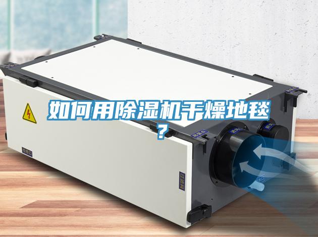如何用小黄片直播视频干燥地毯？