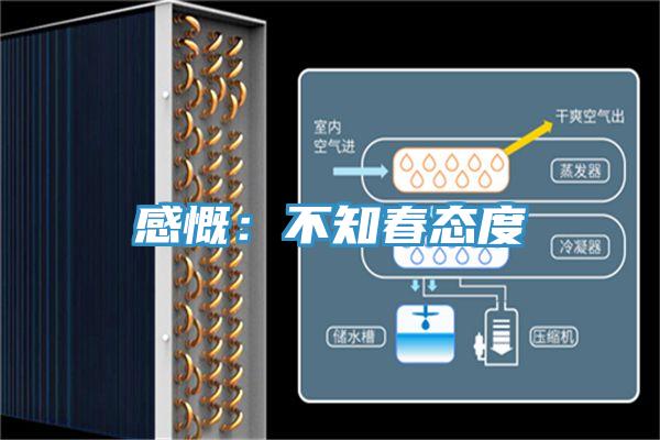 感慨：不知春态度