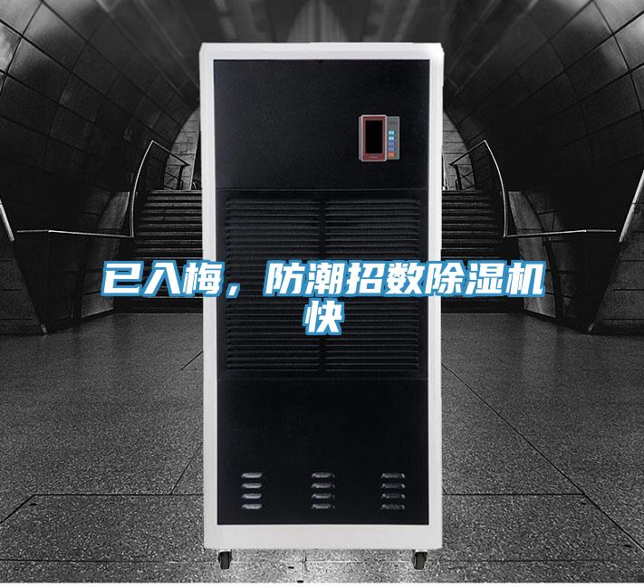 已入梅，防潮招数小黄片直播视频快