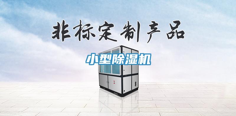 小型小黄片直播视频