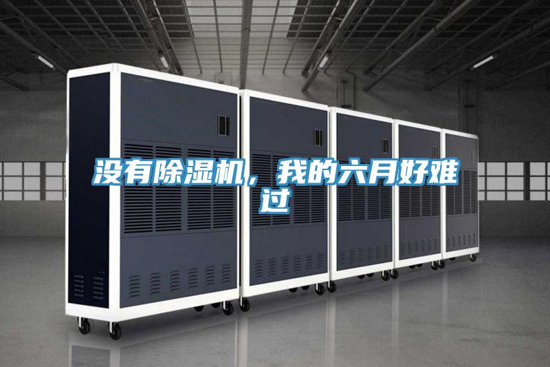 没有小黄片直播视频，我的六月好难过