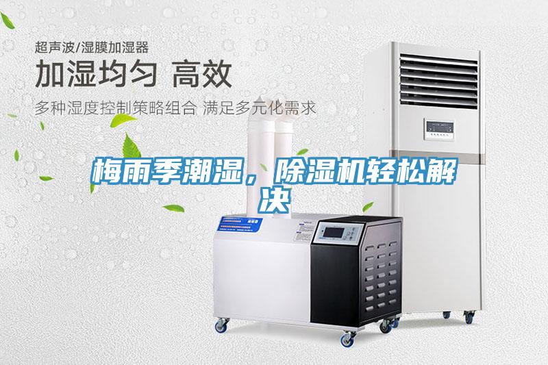 梅雨季潮湿，小黄片直播视频轻松解决