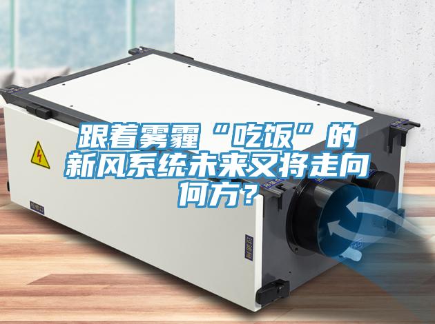 跟着雾霾“吃饭”的新风系统未来又将走向何方？