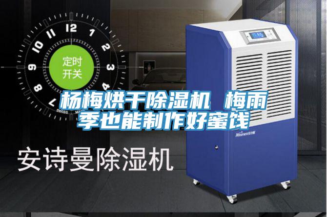杨梅烘干小黄片直播视频 梅雨季也能制作好蜜饯