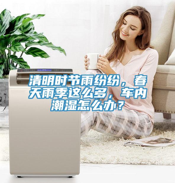 清明时节雨纷纷，春天雨季这么多，车内潮湿怎么办？