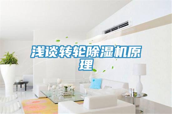 浅谈转轮小黄片直播视频原理
