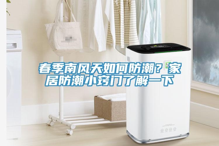 春季南风天如何防潮？家居防潮小窍门了解一下