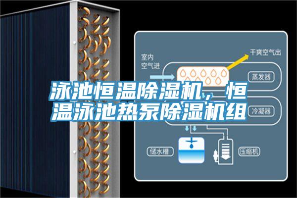 泳池恒温小黄片直播视频，恒温泳池热泵小黄片直播视频组