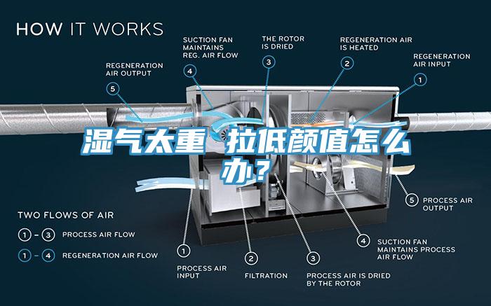 湿气太重 拉低颜值怎么办？