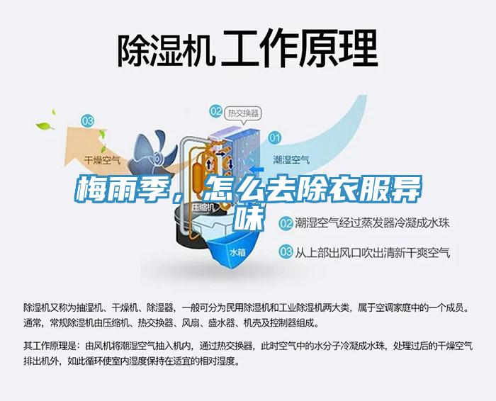 梅雨季，怎么去除衣服异味