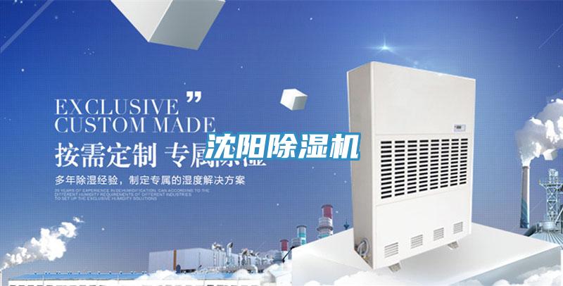 沈阳小黄片直播视频