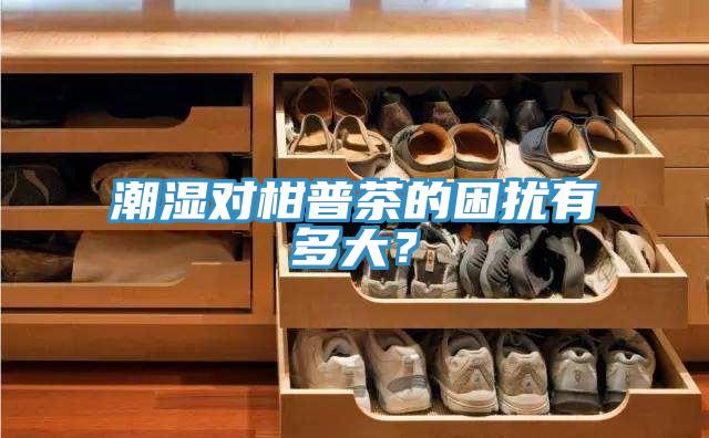 潮湿对柑普茶的困扰有多大？