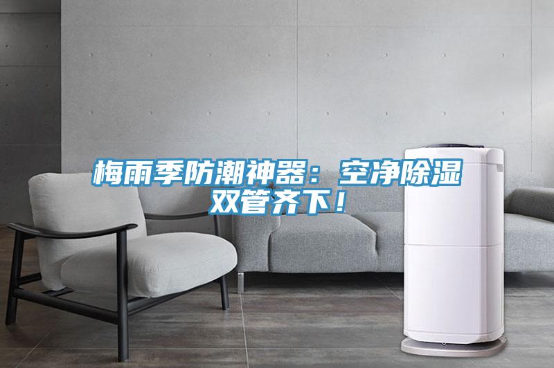 梅雨季防潮神器：空净除湿双管齐下！