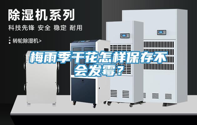梅雨季干花怎样保存不会发霉？