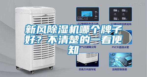 新风小黄片直播视频哪个牌子好？不清楚的一看便知