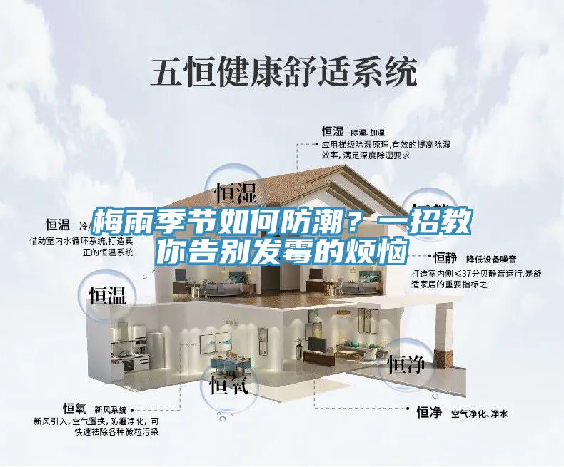 梅雨季节如何防潮？一招教你告别发霉的烦恼