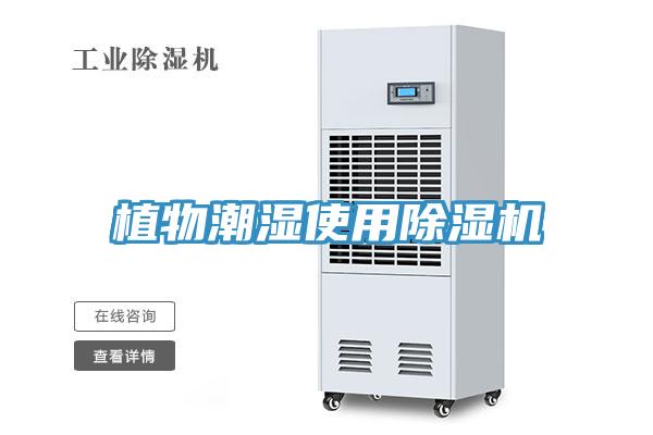 植物潮湿使用小黄片直播视频