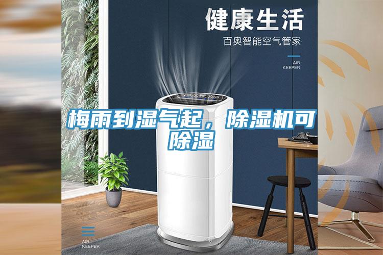 梅雨到湿气起，小黄片直播视频可除湿