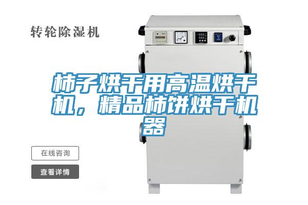 柿子烘干用高温烘干机，精品柿饼烘干机器