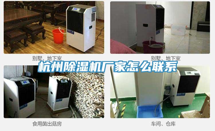 杭州小黄片直播视频厂家怎么联系