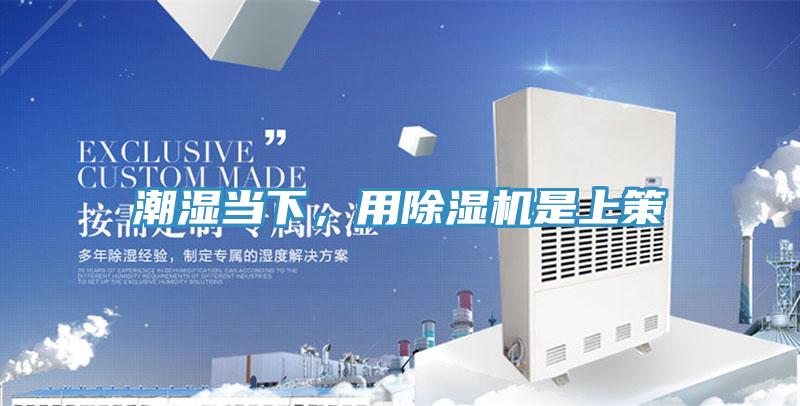潮湿当下，用小黄片直播视频是上策