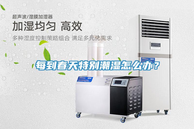 每到春天特别潮湿怎么办？