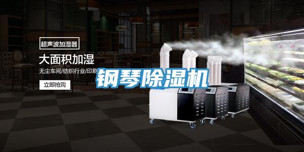 钢琴小黄片直播视频